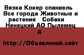 Вязка Кокер спаниель - Все города Животные и растения » Собаки   . Ненецкий АО,Пылемец д.